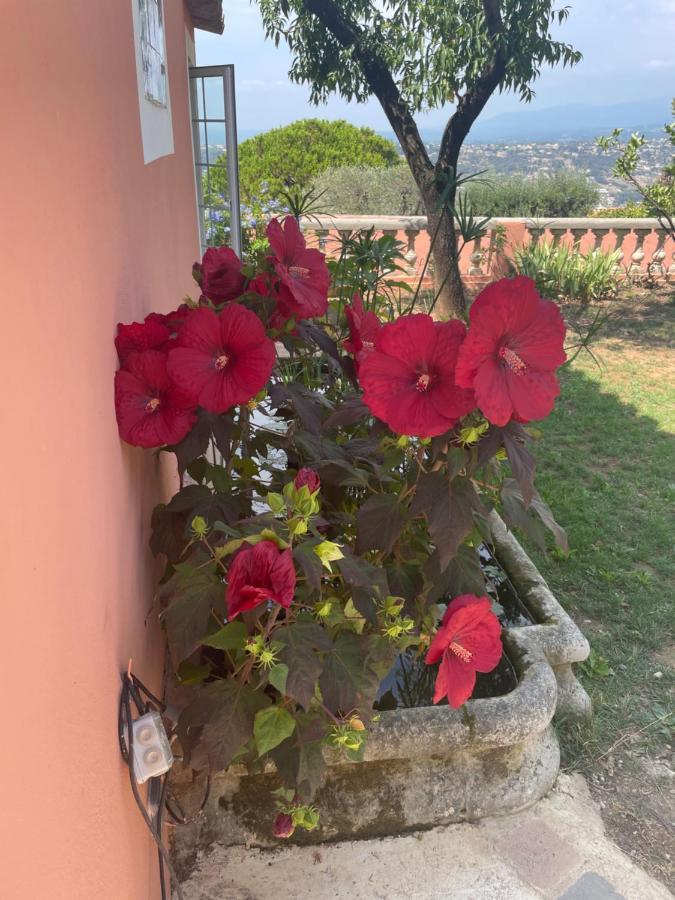 Chambre D'Hotes A L'Ancre Marine De La Villa Rose Ніцца Екстер'єр фото
